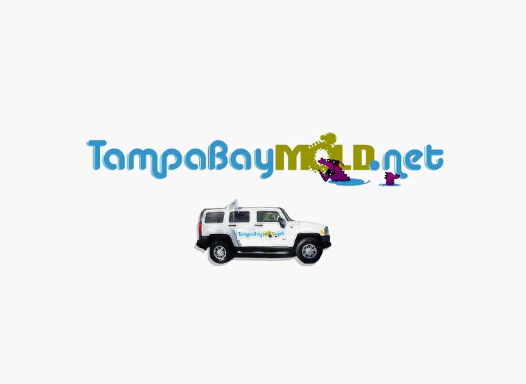 TampaBayMold.net Logo