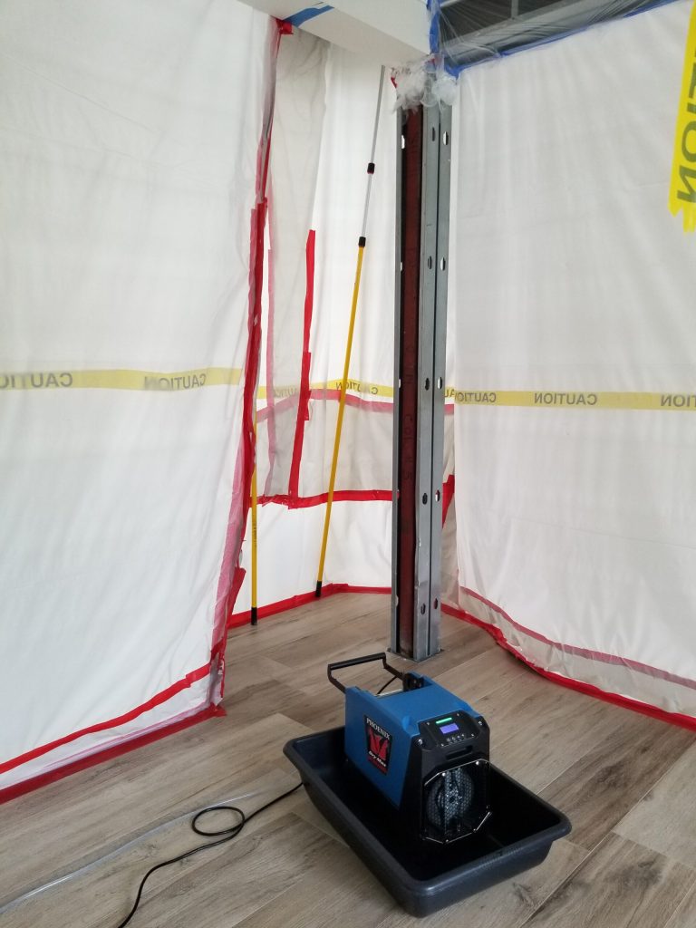 20200323 110035 scaled 1 768x1024