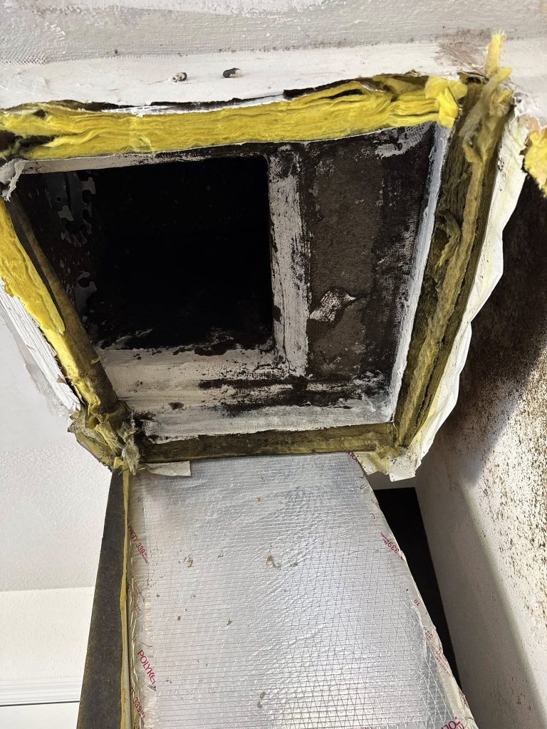 504410163 718494734062631 2881390586575960932 n 768x1024