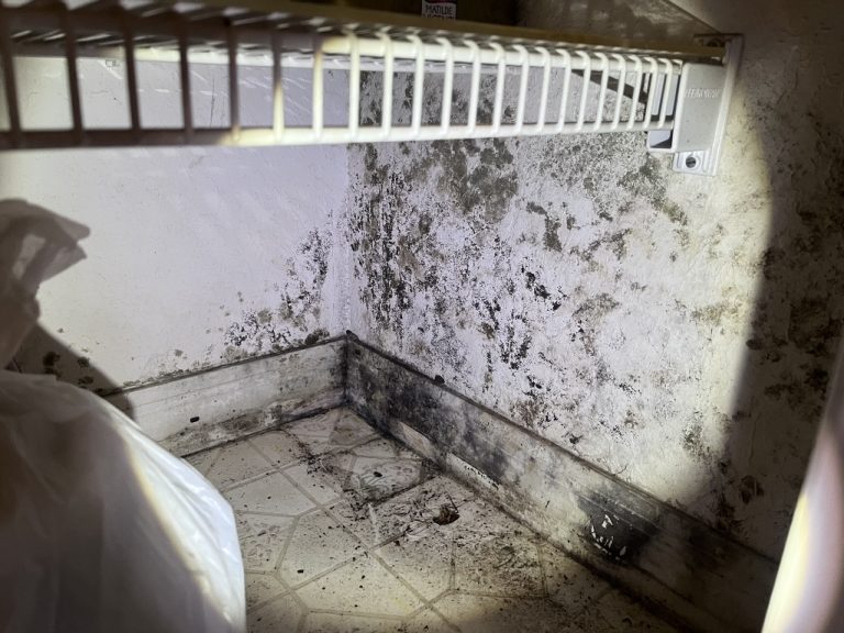 560346201 749130771493175 907227568878014617 n 768x576