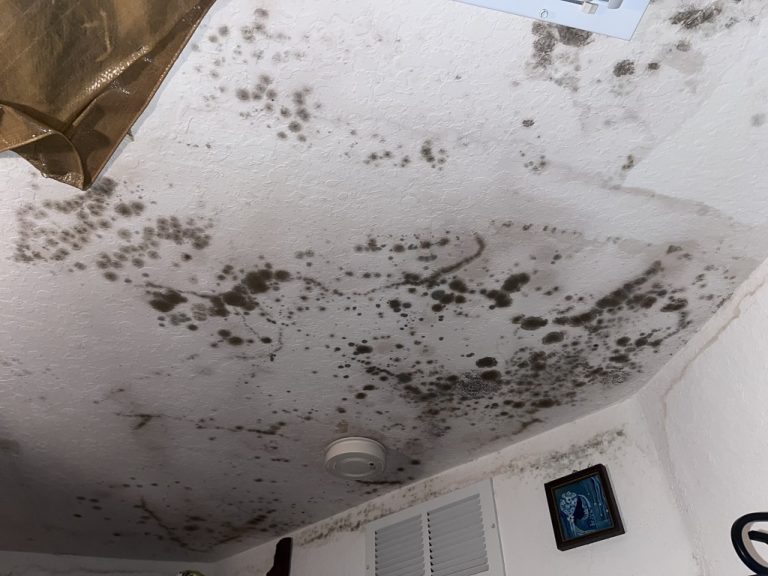 565125914 749127651493487 6271040618200648370 n 768x576