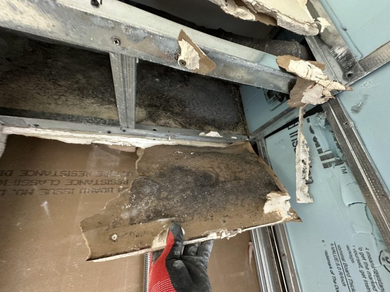 565189562 747519374987648 2377386387352958174 n 768x576