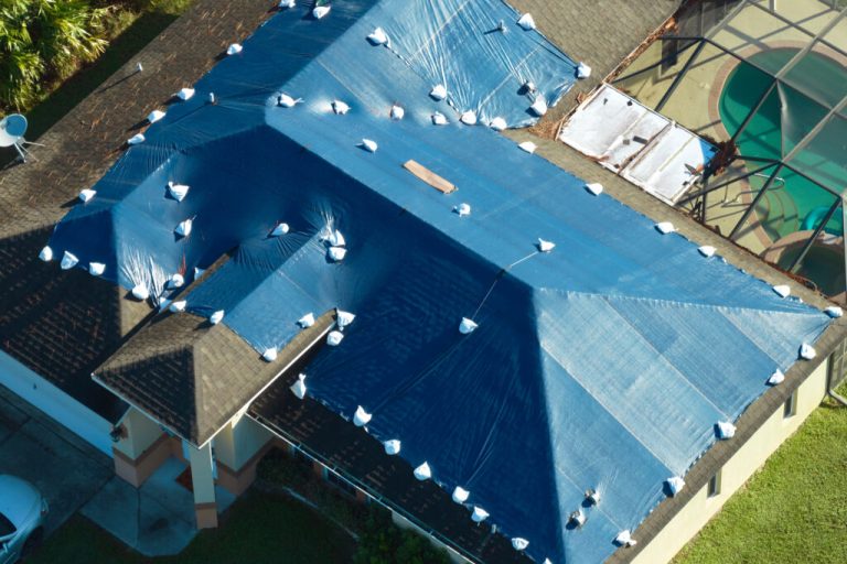 AdobeStock 942528762 1024x683 1 768x512