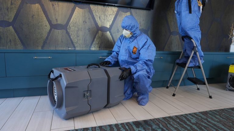 DSC09647 scaled 1 768x432