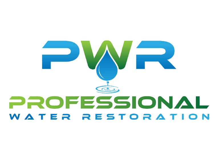 Professional Water Restoration logo 1