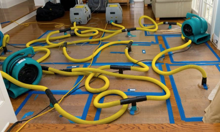 Screen Shot 2025 10 12 at 10.10.45 PM 768x461