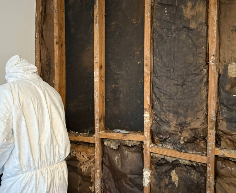 Screen Shot 2025 10 19 at 10.37.28 PM 768x626