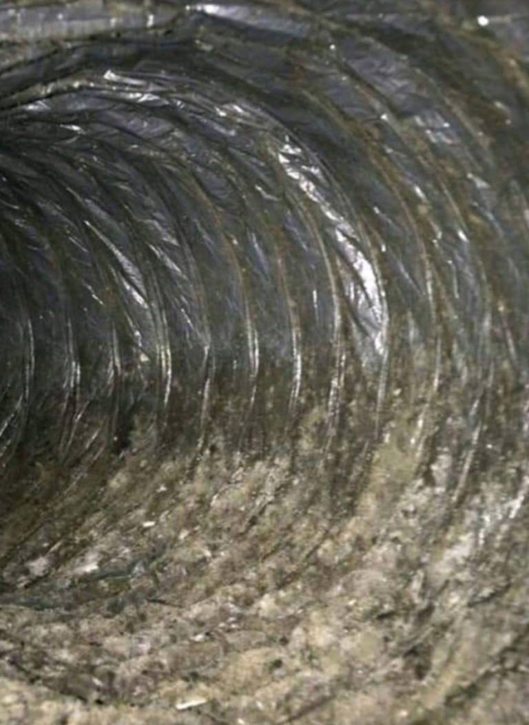 Screen Shot 2025 10 19 at 3.05.10 PM 768x1053