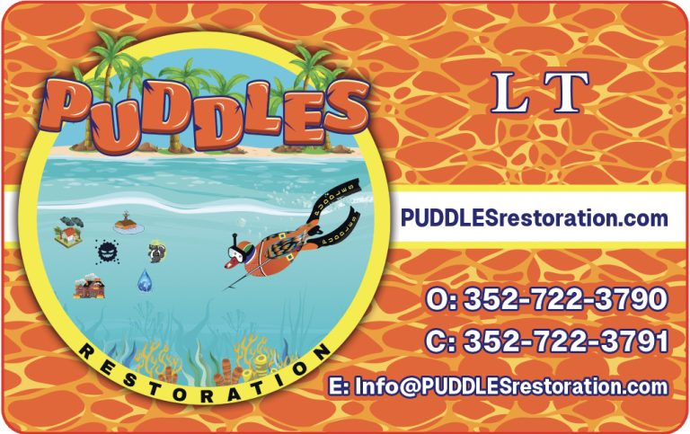puddles logo 768x483
