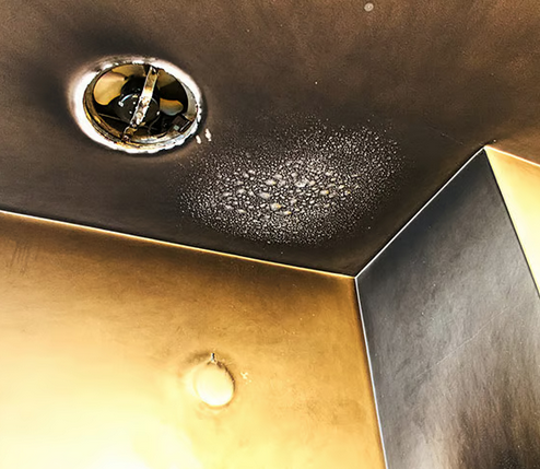 Screen Shot 2025 12 19 at 12.32.52 AM