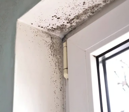 Screen Shot 2025 12 19 at 12.33.05 AM